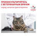Royal Canin Neutered Adult Maintenance Влажный лечебный корм для стерилизованных кошек и кастрированных котов – интернет-магазин Ле’Муррр